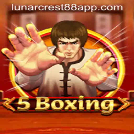 5Boxing: The Strategic Card Game Taking the World by Storm