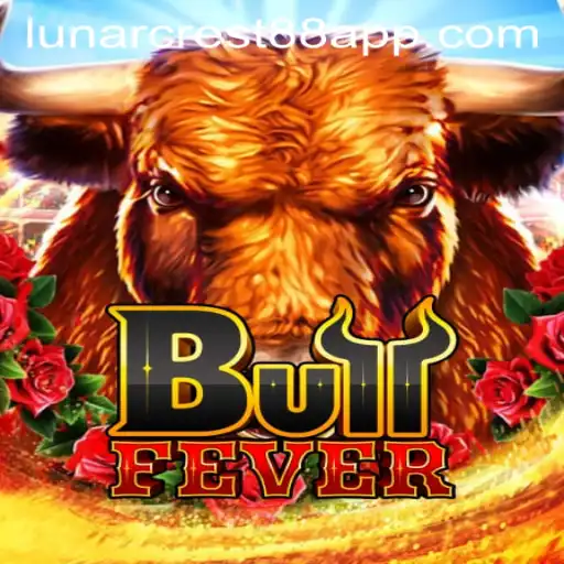 BullFever A Thrilling Game Experience